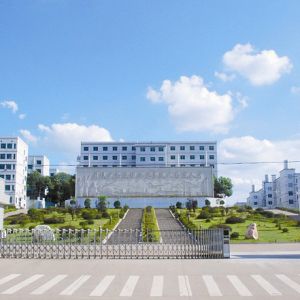 �������ĵĬF(xi��n)���������g(sh��)