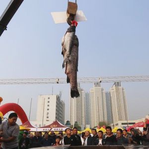 ���ݬF(xi��n)�����~(y��)�硱 ���ؙC(j��)����161���~(y��)�����